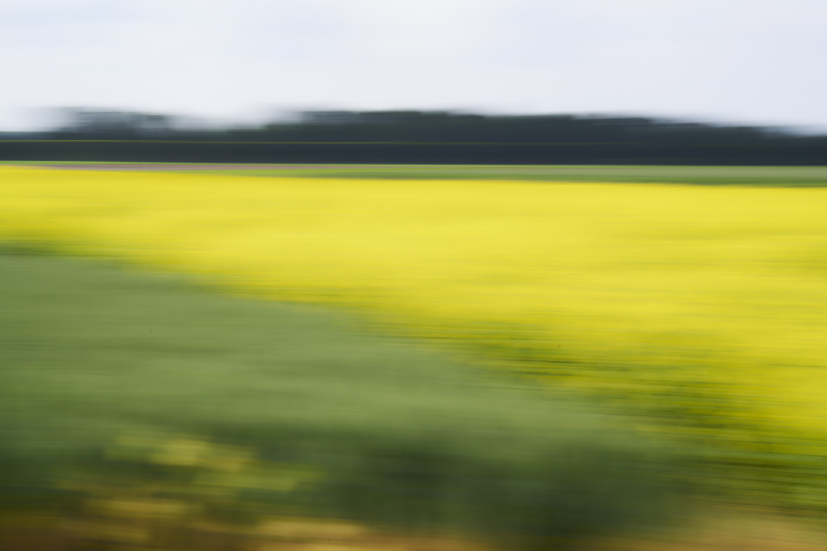 Lanschaftsbild aus horizontal bewegter Kamera